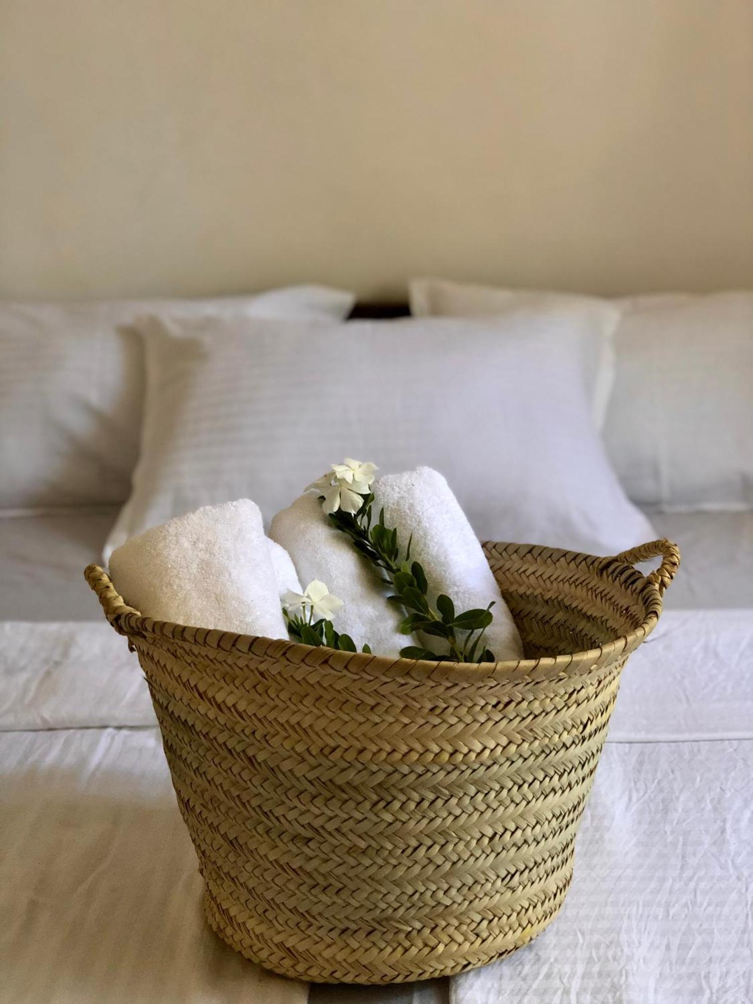 Mlango Paje House II Bed & Breakfast Dış mekan fotoğraf